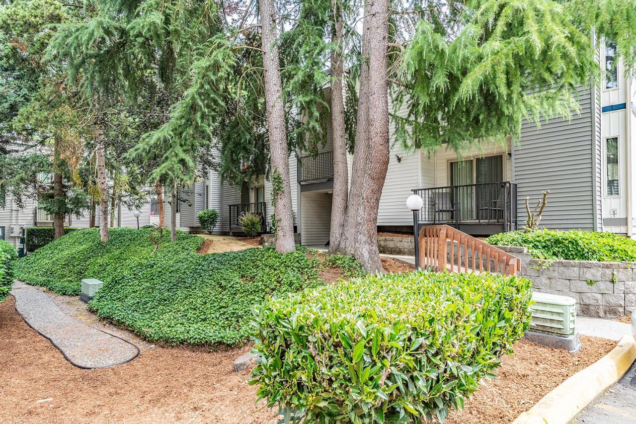 Beautiful And Cozy One Bedroom Apartment -Wifi, Bbq, Patio, Dog Park, Close To Greenlake And Northgate Seattle Esterno foto